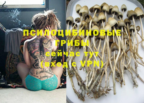 бутират Лиски