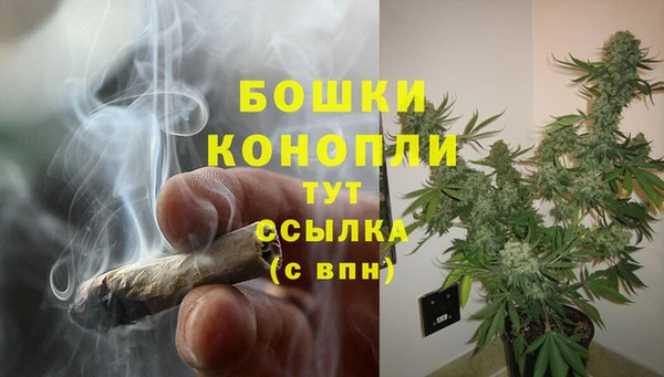 прущие крисы Долгопрудный