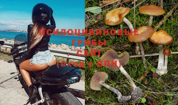 бутират Лиски