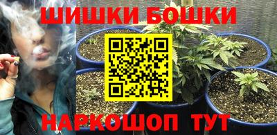 гашик Донской