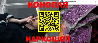гашик Донской