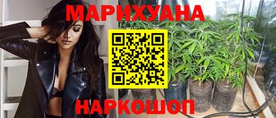 гашик Донской