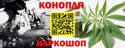 гашик Донской