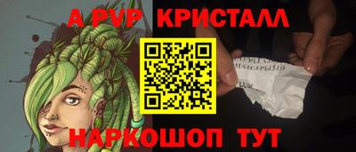 гашик Донской