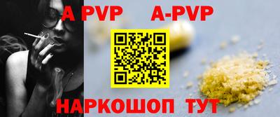 гашик Донской