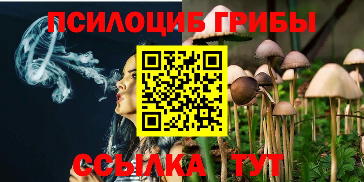 Псилоцибиновые грибы мицелий  Вход с VPN  Гуково 