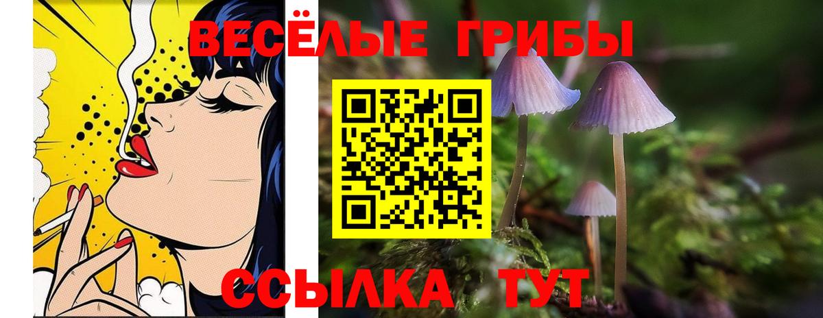 Галлюциногенные грибы Magic Shrooms Гуково